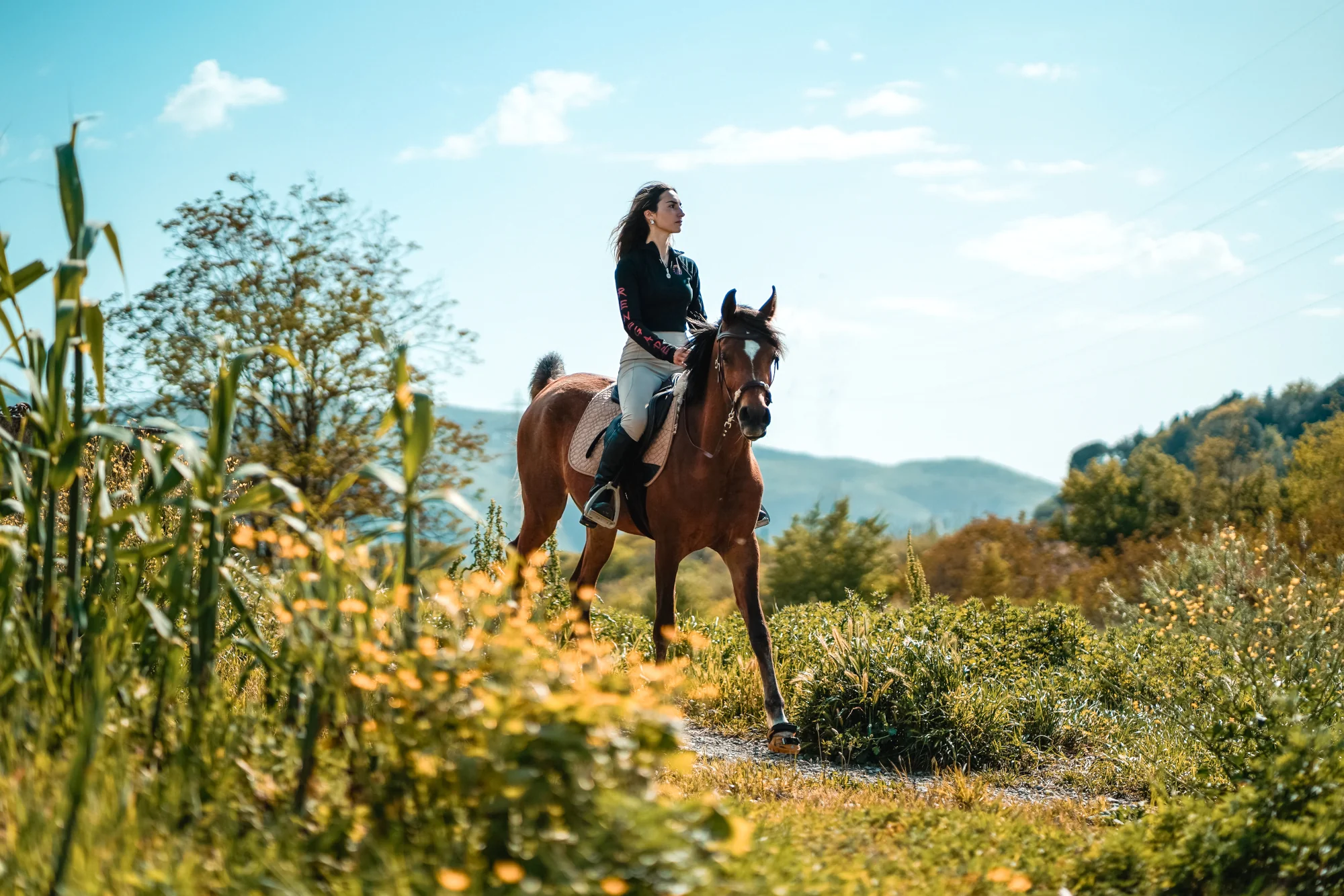 Revolutionary Protection for Barefoot Horses